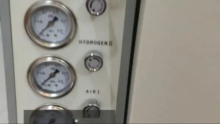 Automated Gas Chromatograph Detector Transformer Oil Dissolved Gas Chromatography Tester